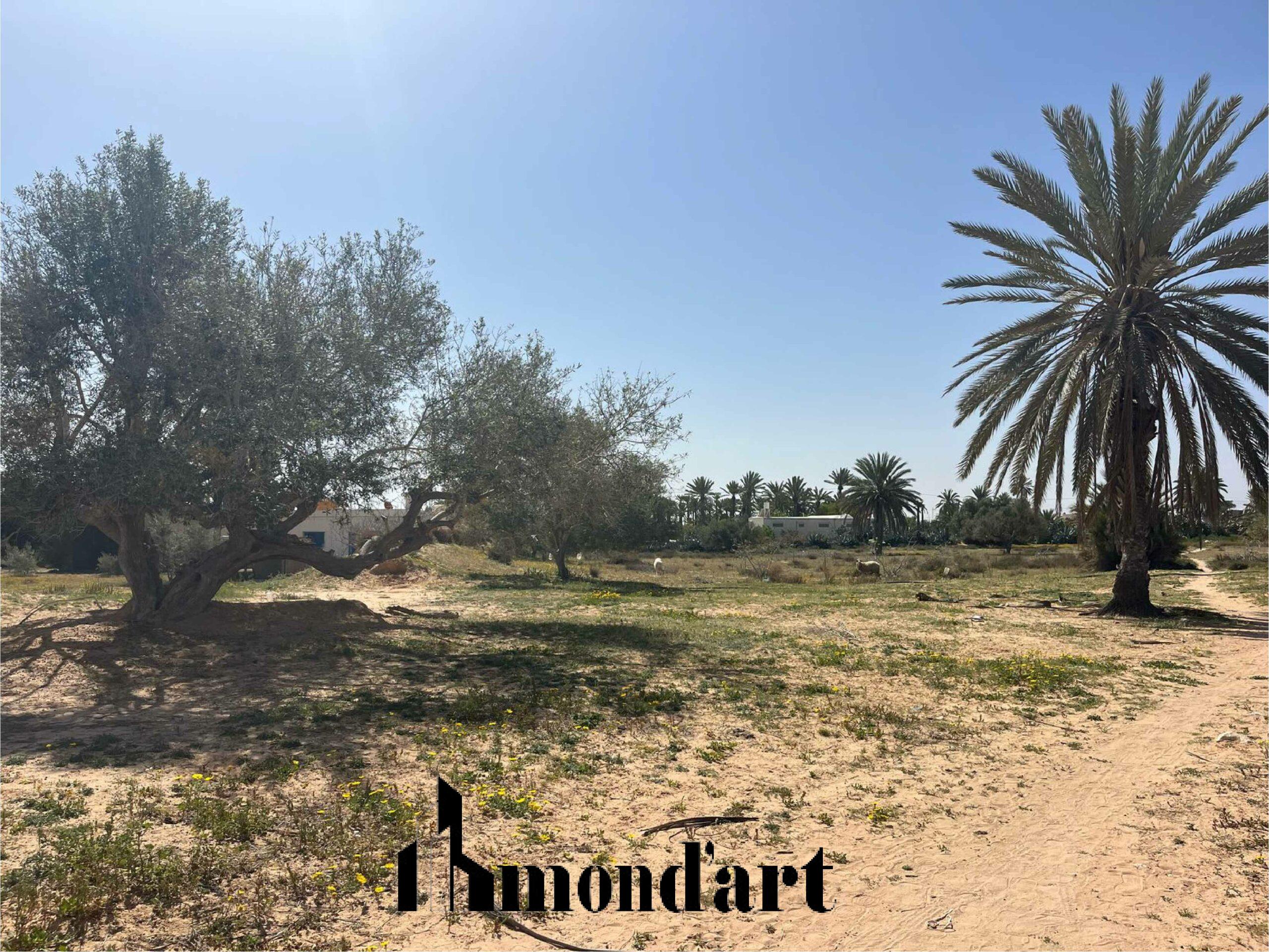 Terrain Azmouni