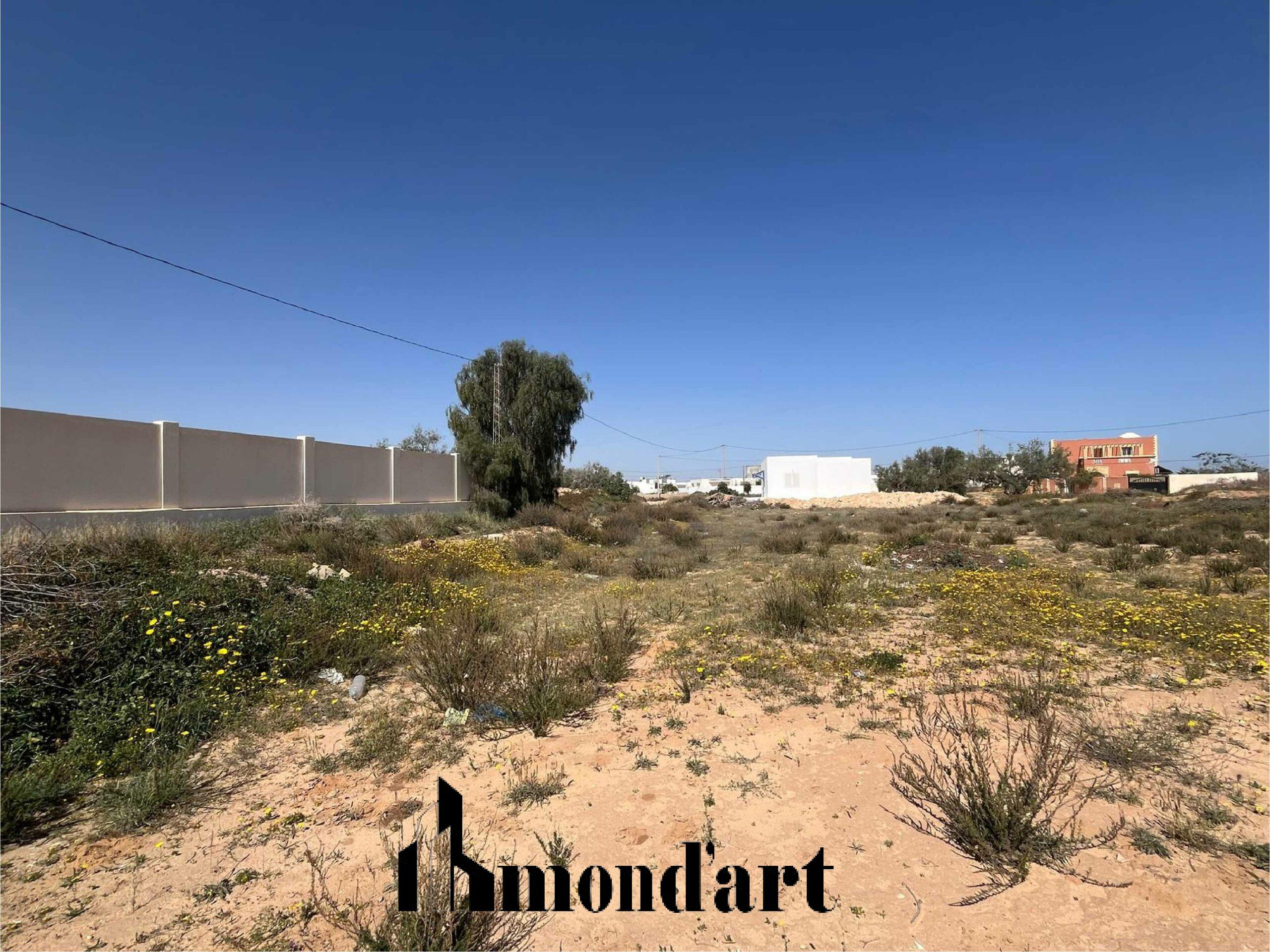 Terrain Stade Azmouni