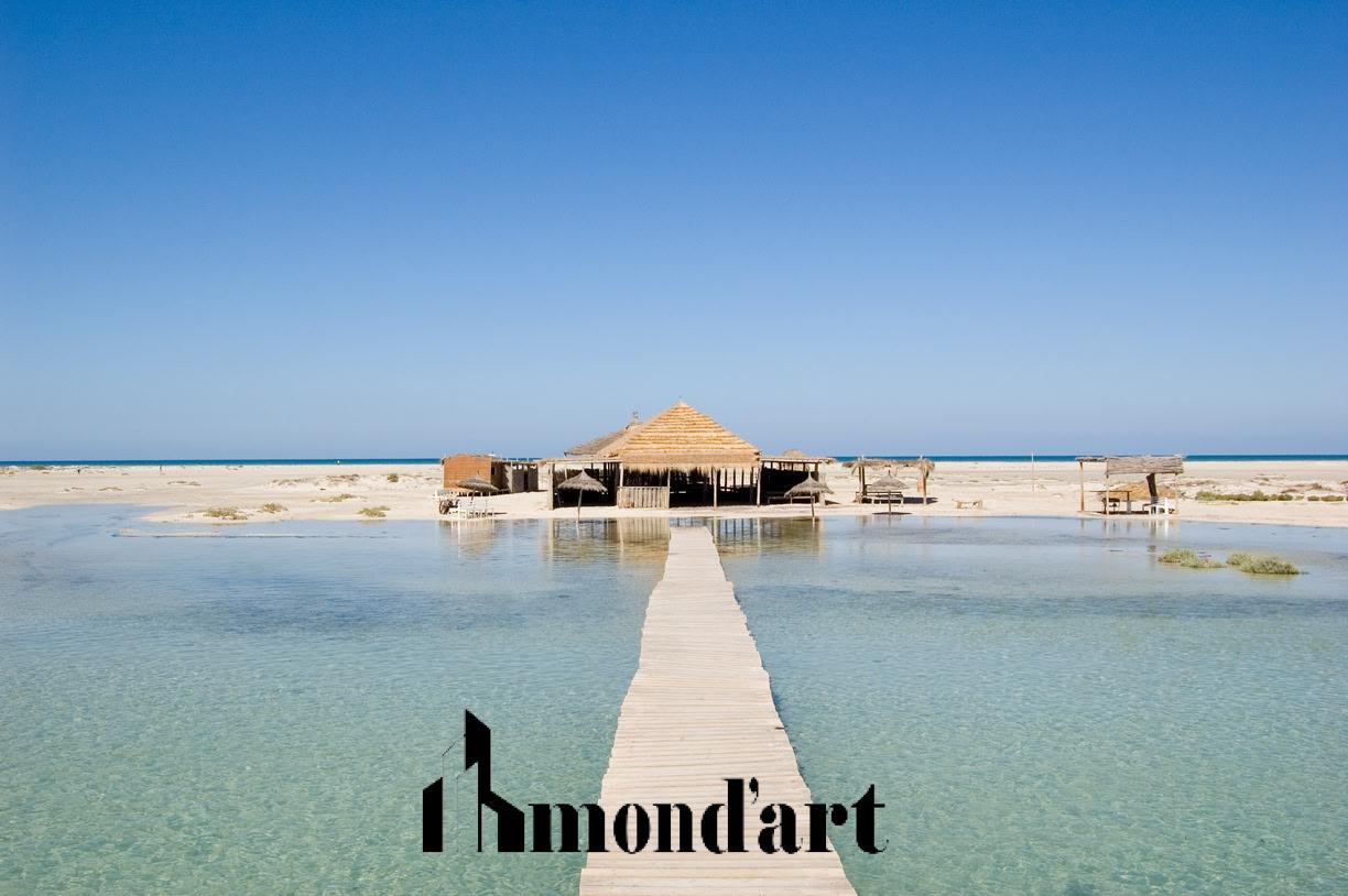 Les Plus Belles Plages de Djerba : Où Se Baigner en 2026?